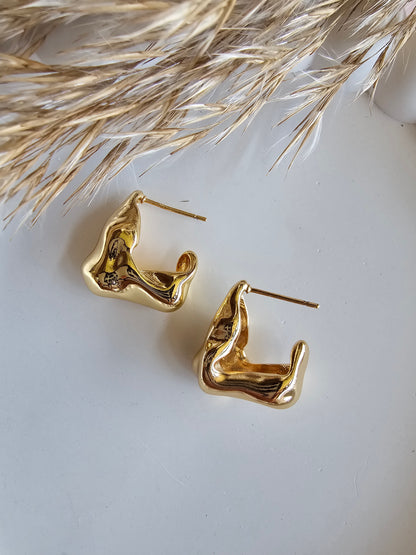 Sculpted Shine Earrings