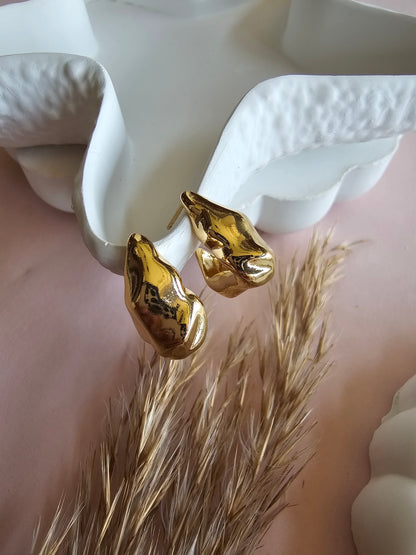 Sculpted Shine Earrings