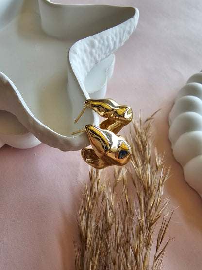 Sculpted Shine Earrings