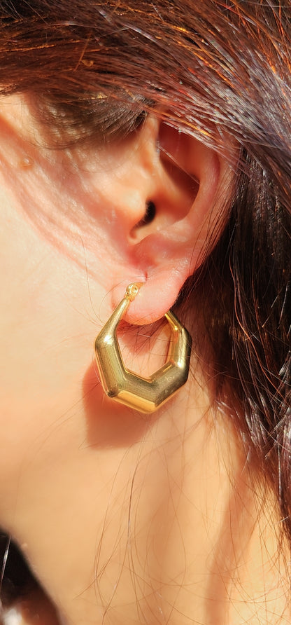 Bold Hexa Hoop Earrings