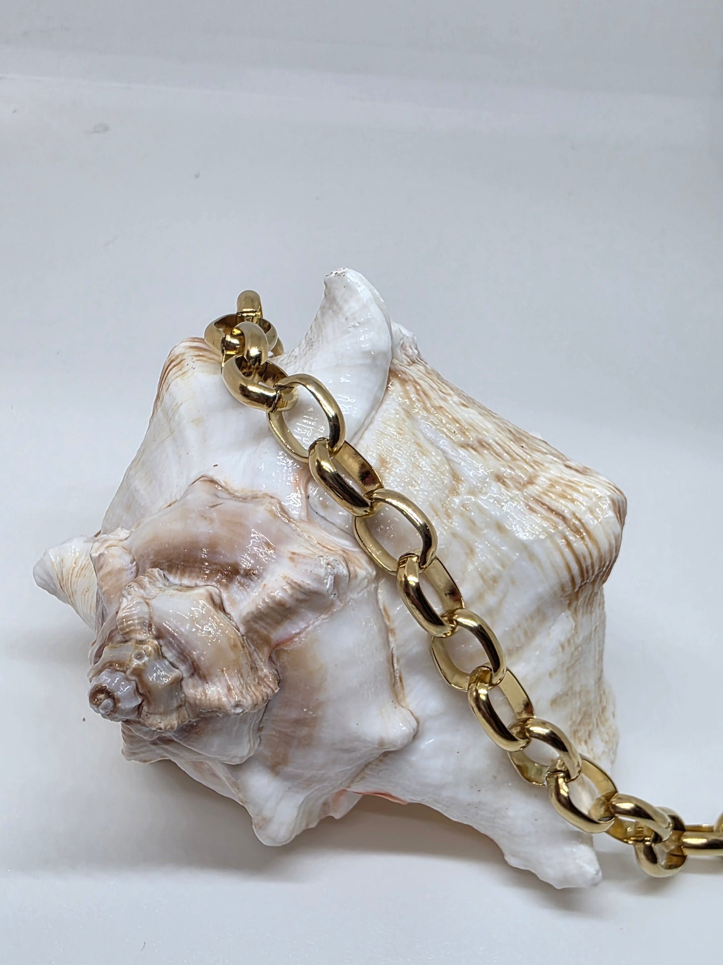 Aura Classic Chunky Link Bracelet